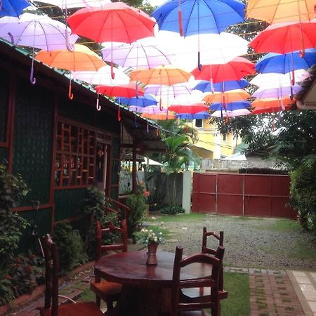 เทียแมร์เกสท์เฮาส์ Hotel Puerto Princesa ภายนอก รูปภาพ