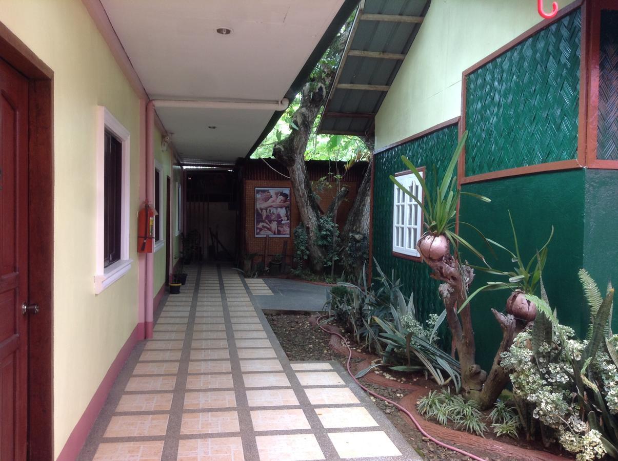 เทียแมร์เกสท์เฮาส์ Hotel Puerto Princesa ภายนอก รูปภาพ